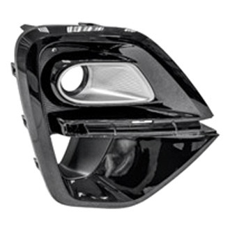Alzare® - Front Passenger Side Bumper Insert (Standard Line)