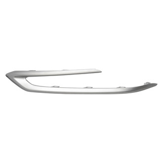 Alzare® - Front Bumper Cover Molding