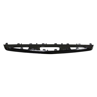 Alzare® - Front Center Bumper Molding (Standard Line)