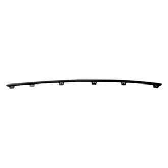 Alzare® - Front Center Bumper Molding (Standard Line)