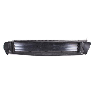 Alzare® - Grille Air Intake