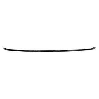 Alzare® - Rear Bumper Molding (Standard Line)