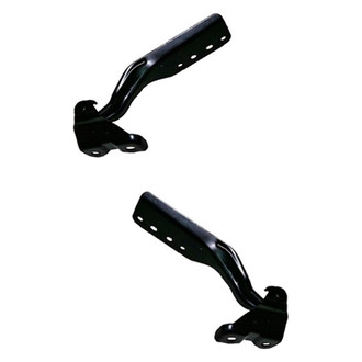 Alzare® - Hood Hinge