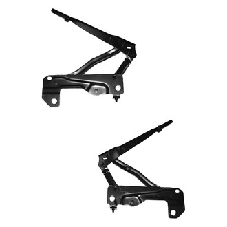 Alzare® - Hood Hinge Set (Standard Line)