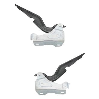 Alzare® - Hood Hinge