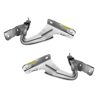Alzare® - Hood Hinge