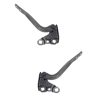 Alzare® - Hood Hinge Set (Standard Line)