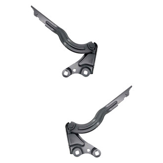 Alzare® - Hood Hinge