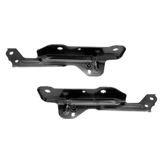 Alzare® - Hood Hinge