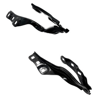 Alzare® - Driver and Passenger Side Hood Hinge Set (Standard Line)
