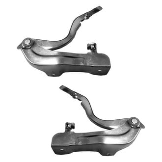 Alzare® - Hood Hinge