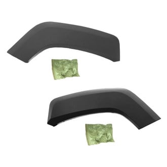 Alzare® - Rear Driver and Passenger Side Wheel Arch Molding Set (Standard Line)