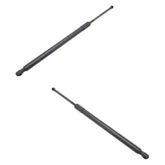Alzare® - Driver and Passenger Side Tailgate Lift Support Set (Standard Line)