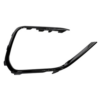 Alzare® - Front Passenger Side Bumper Cover Grille Molding (Standard Line)