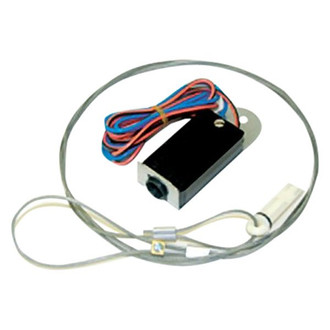 AP Products® - Breakaway Switch with 6' Lanyard and Pin