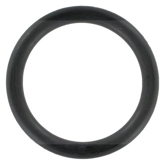 Apex Auto® - Ignition Distributor Mounting Gasket