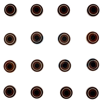 Apex Auto® - Valve Stem Seal Set