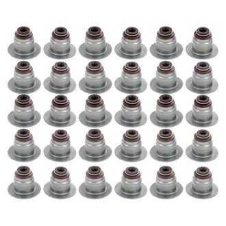 Apex Auto® - Valve Stem Seal Set