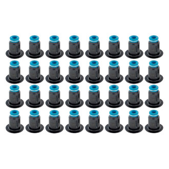 Apex Auto® - Valve Stem Seal Set