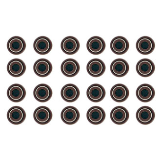 Apex Auto® - Valve Stem Seal Set