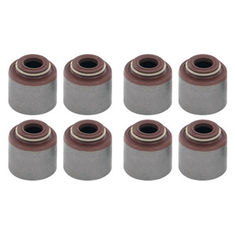 Apex Auto® - Valve Stem Seal Set
