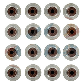 Apex Auto® - Valve Stem Seal Set