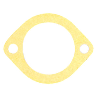 Apex Auto® - Engine Coolant Thermostat Housing Seal