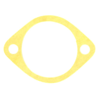 Apex Auto® - Engine Coolant Thermostat Housing Seal