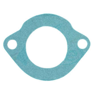 Apex Auto® - Engine Coolant Thermostat Housing Seal
