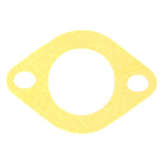 Apex Auto® - Engine Coolant Thermostat Housing Seal