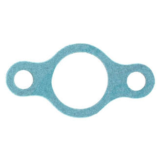 Apex Auto® - Engine Coolant Thermostat Housing Seal