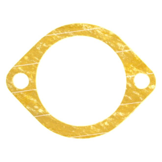 Apex Auto® - Engine Coolant Thermostat Housing Seal