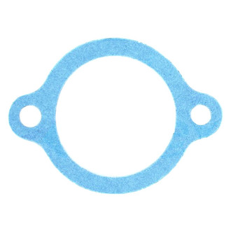 Apex Auto® - Engine Coolant Thermostat Housing Seal