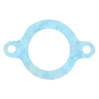Apex Auto® - Engine Coolant Thermostat Housing Seal