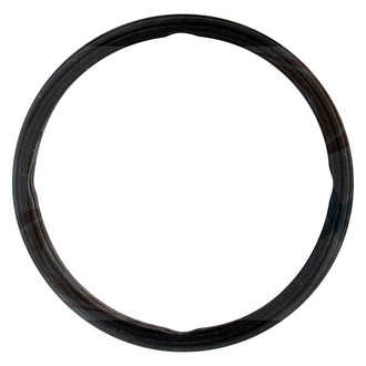 Apex Auto® - Engine Coolant Thermostat Housing Seal