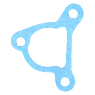 Apex Auto® - Engine Coolant Thermostat Housing Seal