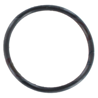 Apex Auto® - Engine Coolant Thermostat Housing O-Ring