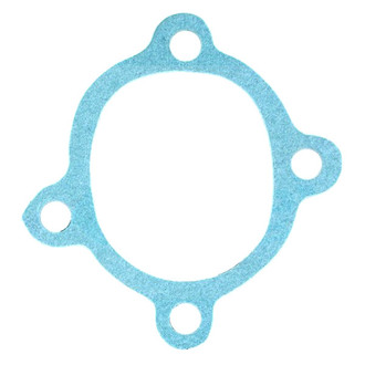 Apex Auto® - Engine Coolant Thermostat Seal