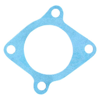 Apex Auto® - Engine Coolant Thermostat Seal