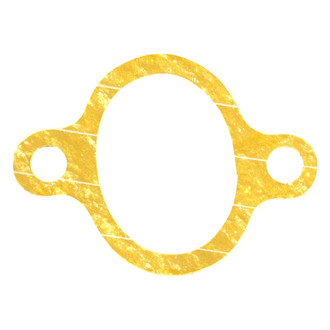 Apex Auto® - Engine Coolant Thermostat Housing Seal