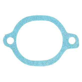 Apex Auto® - Engine Coolant Thermostat Seal