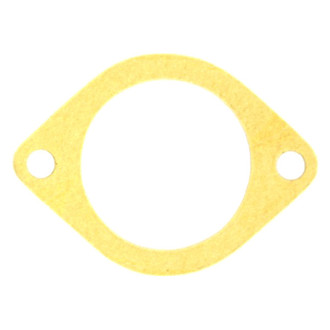 Apex Auto® - Engine Coolant Thermostat Housing Seal