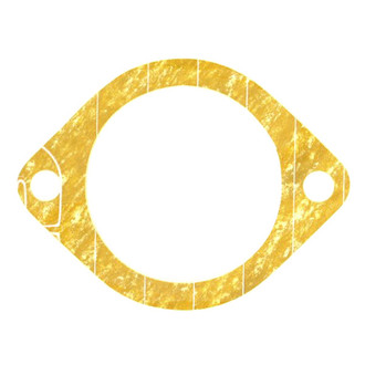 Apex Auto® - Engine Coolant Thermostat Housing Seal