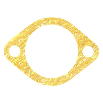 Apex Auto® - Engine Coolant Thermostat Seal