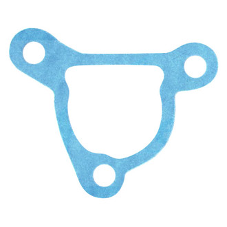 Apex Auto® - Engine Coolant Thermostat Housing Seal