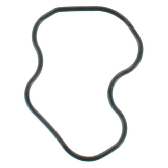 Apex Auto® - Engine Coolant Thermostat Housing Seal