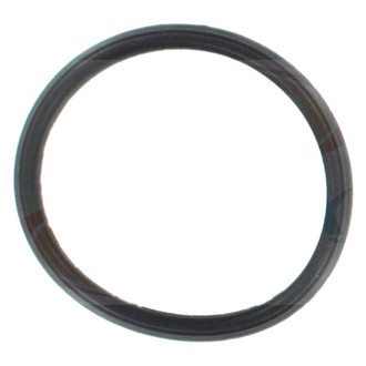 Apex Auto® - Engine Coolant Thermostat Seal