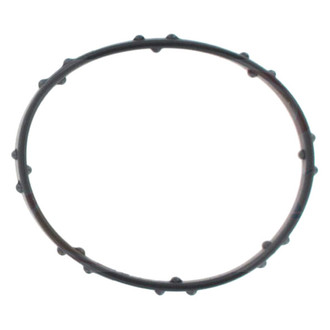 Apex Auto® - Engine Coolant Thermostat Housing Seal