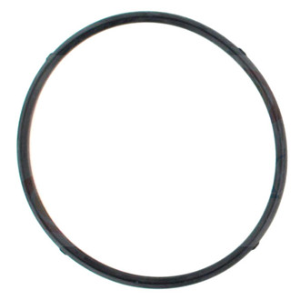Apex Auto® - Engine Coolant Thermostat O-Ring