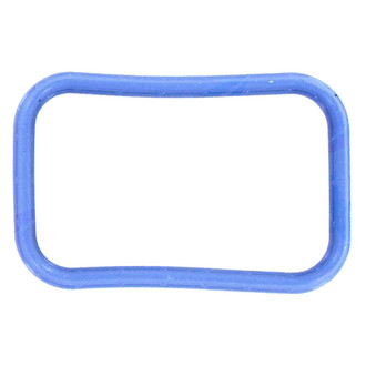 Apex Auto® - Engine Coolant Thermostat Seal